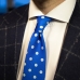 Синий шёлковый галстук в горошек VARSUTIE